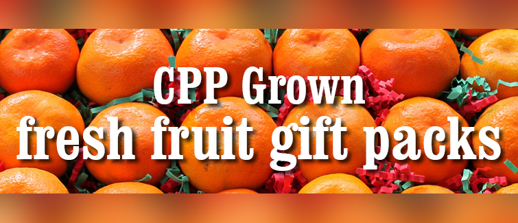 CPP Grown Fresh Fruit Gift Packs