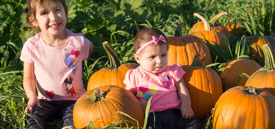 Two children sit in the pumpkin patch at  Cal Poly Pomona. 