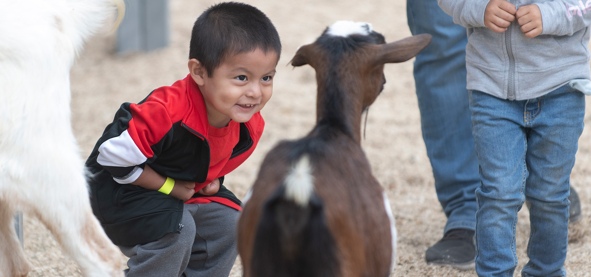 A young boy smiles at a goat during the 2023 Pumpkin Festival.