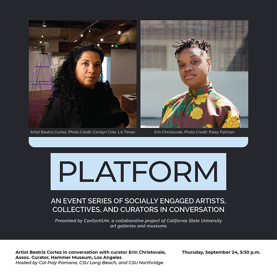 Platform: an event series of socially engaged artists, collectives, and curators in conversation.