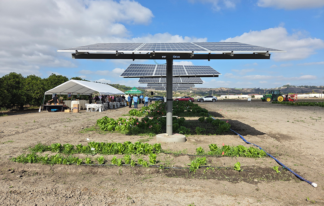 The photovoltaic system at Spadra Farm. Solar panels over crops.