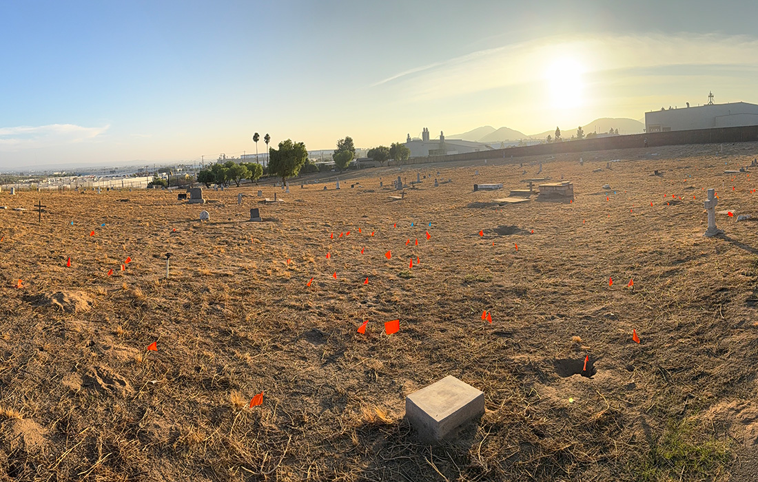 The Archaeological field school