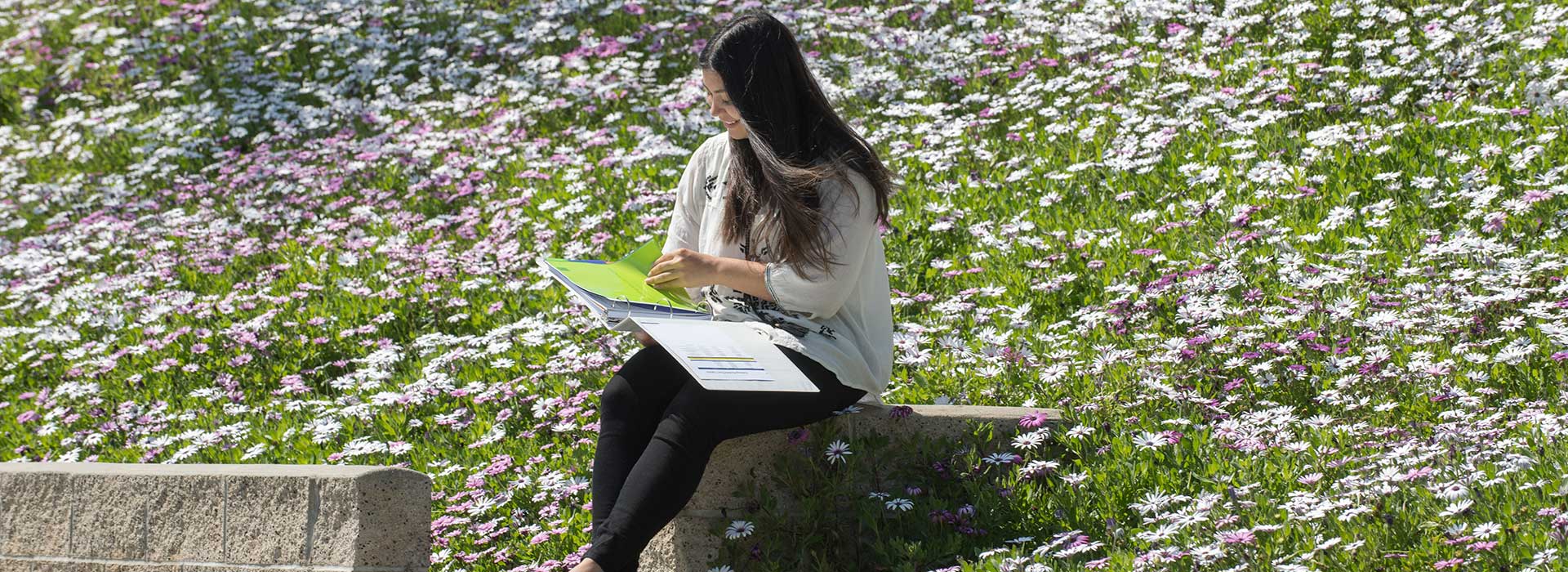 A female student sits among wildflowers