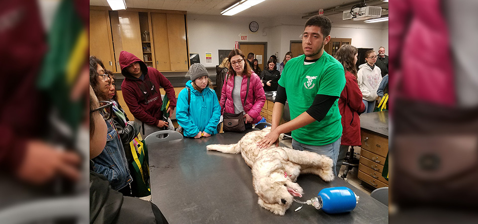 An AVS student demonstrates on a stuffed dog