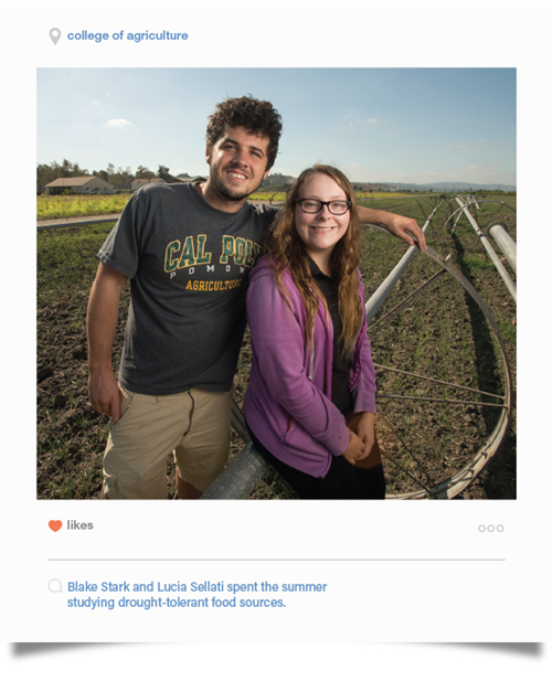 College of Agriculture - Blake Stark and Lucia Sellati spent the summer studying drought-tolerant food sources.