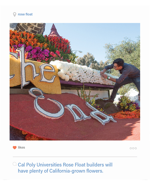 Rose Float - Cal Poly Universities Float builders will have plenty of California-grown flowers.
