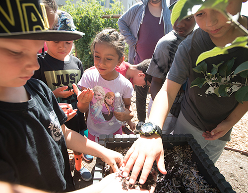 A group from the Cal Poly Pomona Children’s Center touches worms in a composting box during a visit to AGRIscapes.