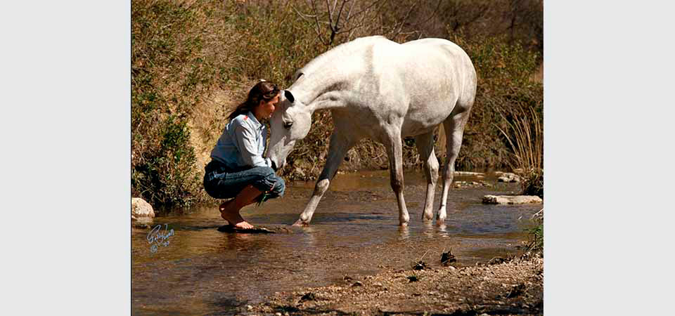 A woman kneeling in a stream with her face against a white horse
