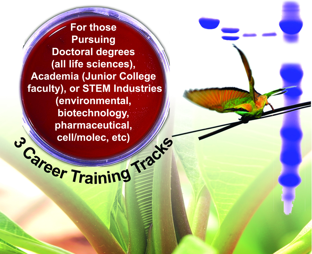 For those pursuing Doctoral Degrees (all life sciences), Academia (Junior College faculty), or STEM Industries (environmental, biotechnology, pharmaceutical, cell/molec) 3 career Training Tracks