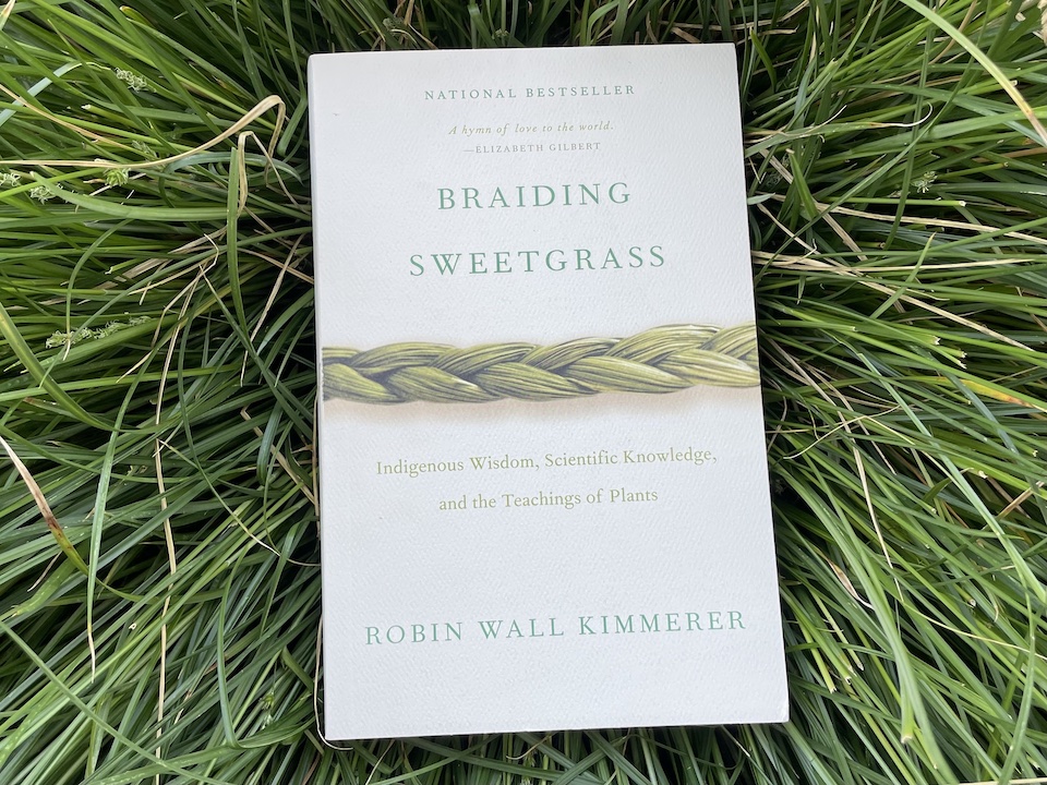 Photo of Braiding Sweetgrass book resting on a background of green grass