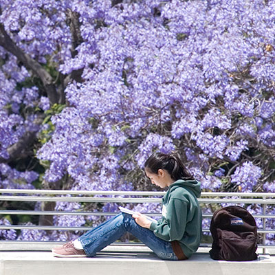 Student sitting with tree in background