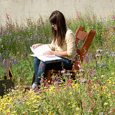 Student sitting in chair surrounded by wildflowers