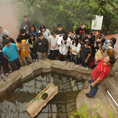 Students looking at turtle