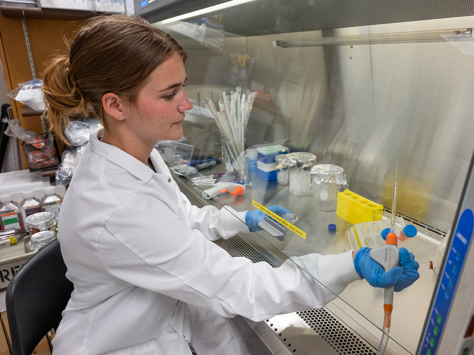 Biotechnology major Marissa Postlewaite at work in Dr. Junjun Liu's lab