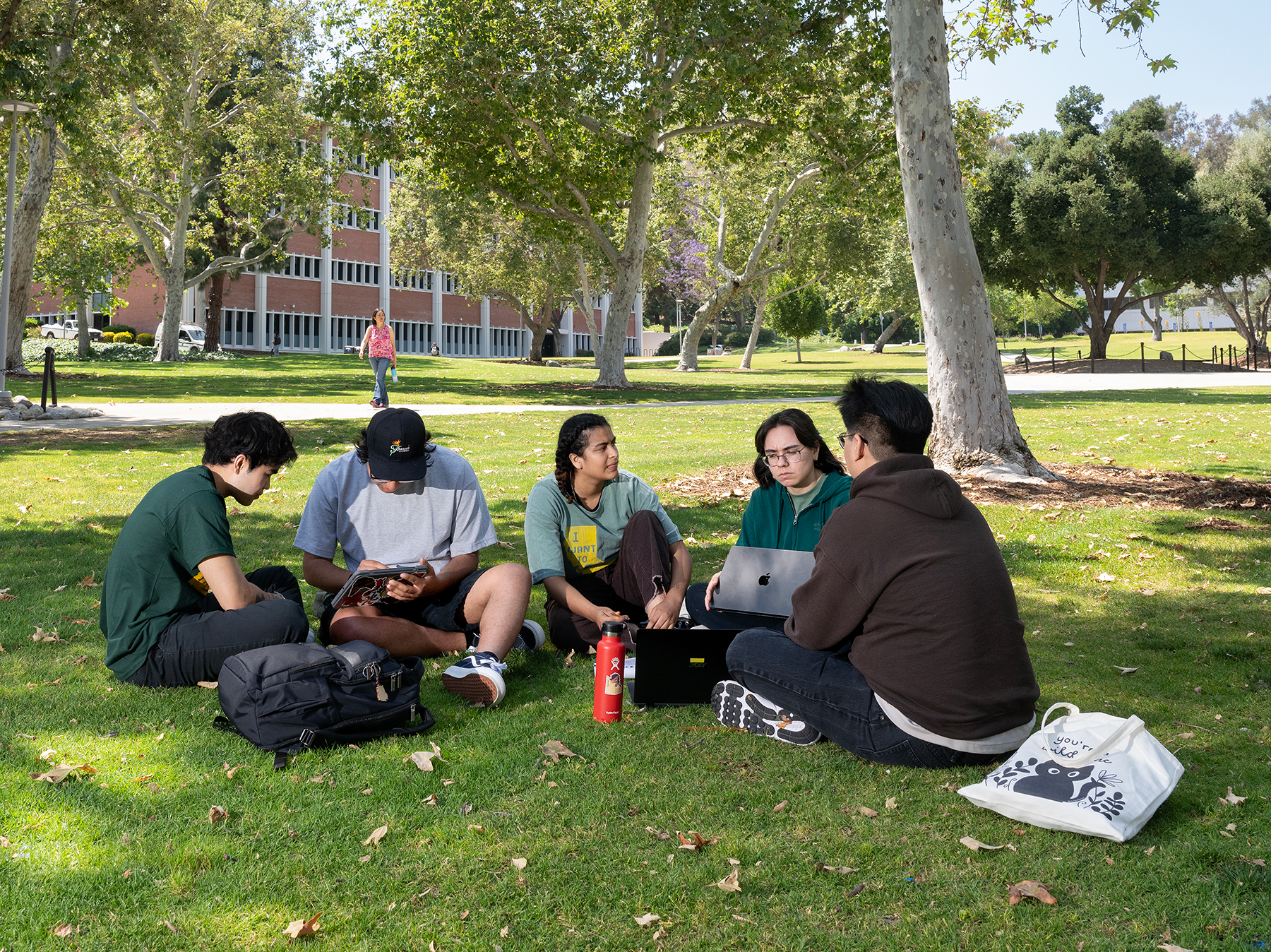 A group of students sit and talk in the university quad.