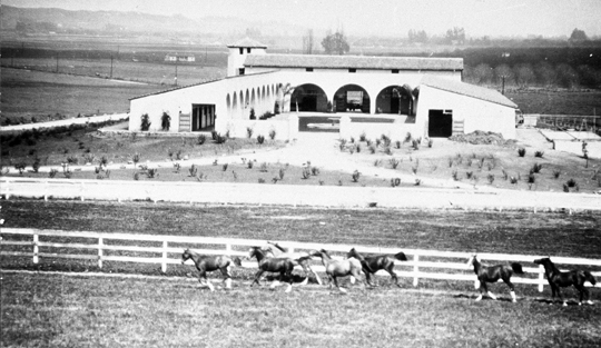 Old Stables