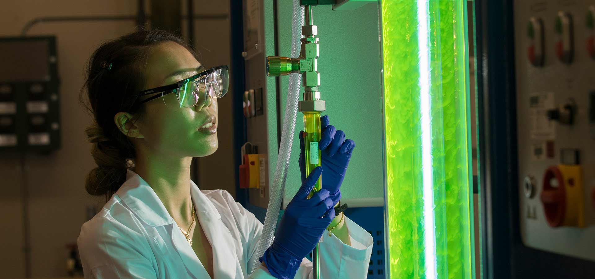 student working on algae in lab
