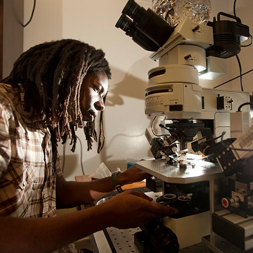 student working with microscope