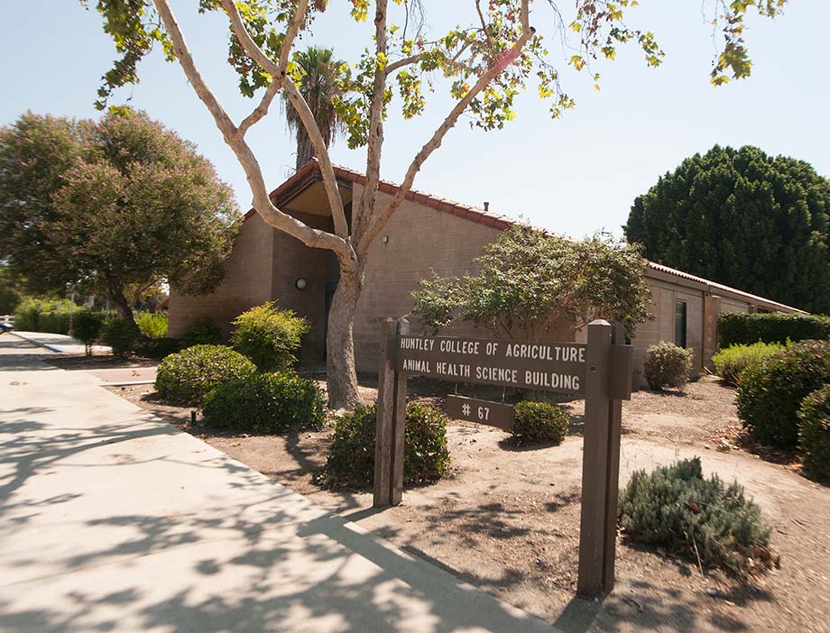 Photo of the Building 67 exterior