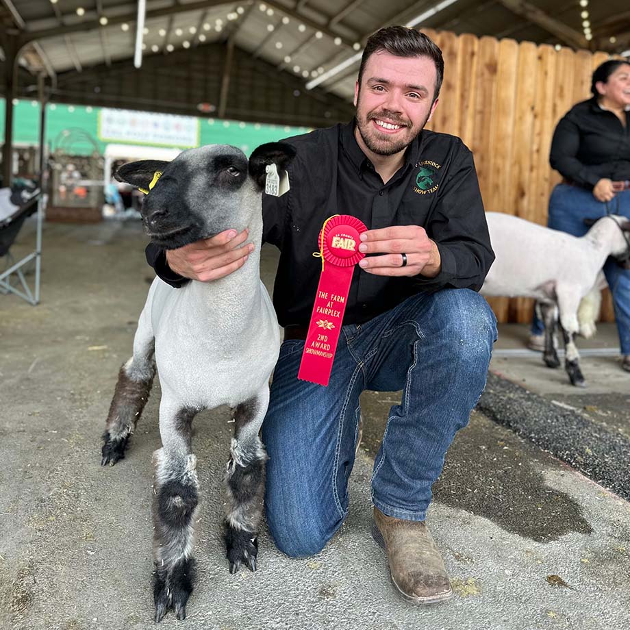 A Cal Poly Pomona livestock show team member poses with his lamb and the red ribbon he won