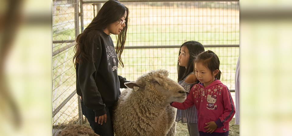 A female student speaks to two children about a sheep