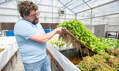 A male student examines lettuce from an aquaponics system at Cal Poly Pomona