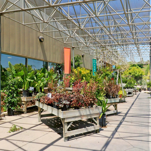 Exterior of Farm Store with plants displayed for sale