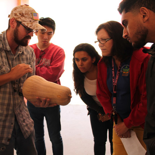 professor holding a squash teaching students about integrated pest management