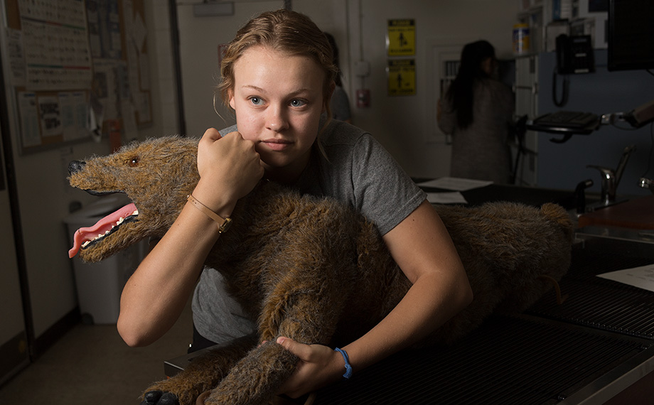 A female student works with a dog manikin