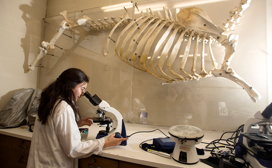 A student lab coat uses a microscope.