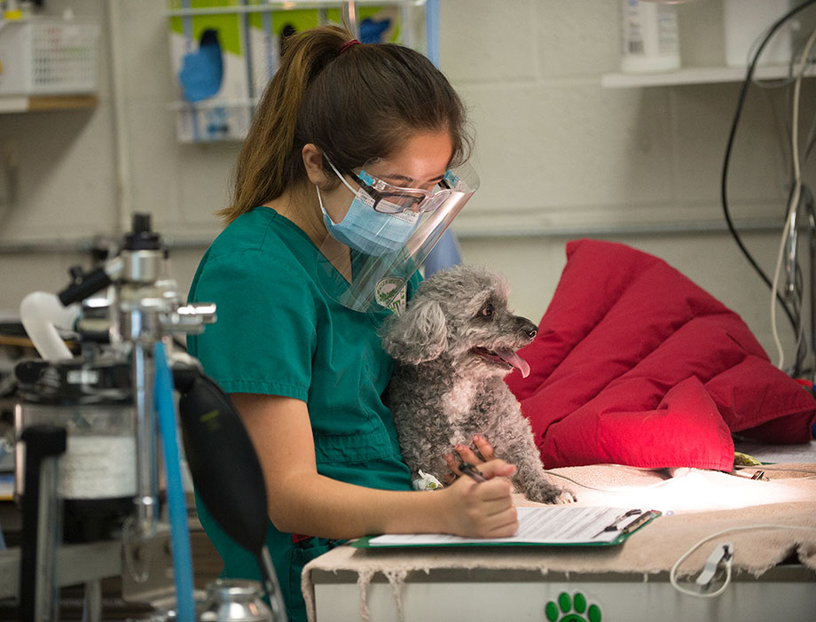 A female student in a mask cradles a dog.