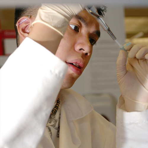 a student performs a lab experiment in animal science