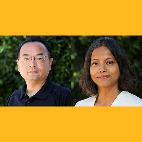 Jiangning Che and Chitra Dabas