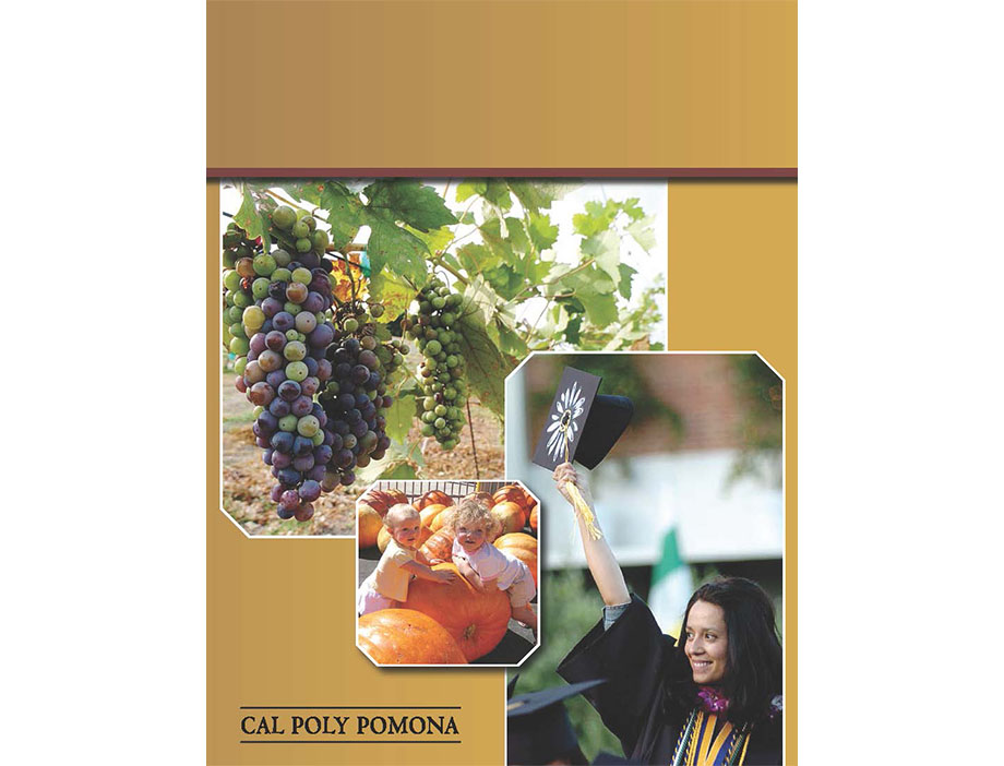 Photos showing grapevines, toddlers with a pumpkin, and a graduating student