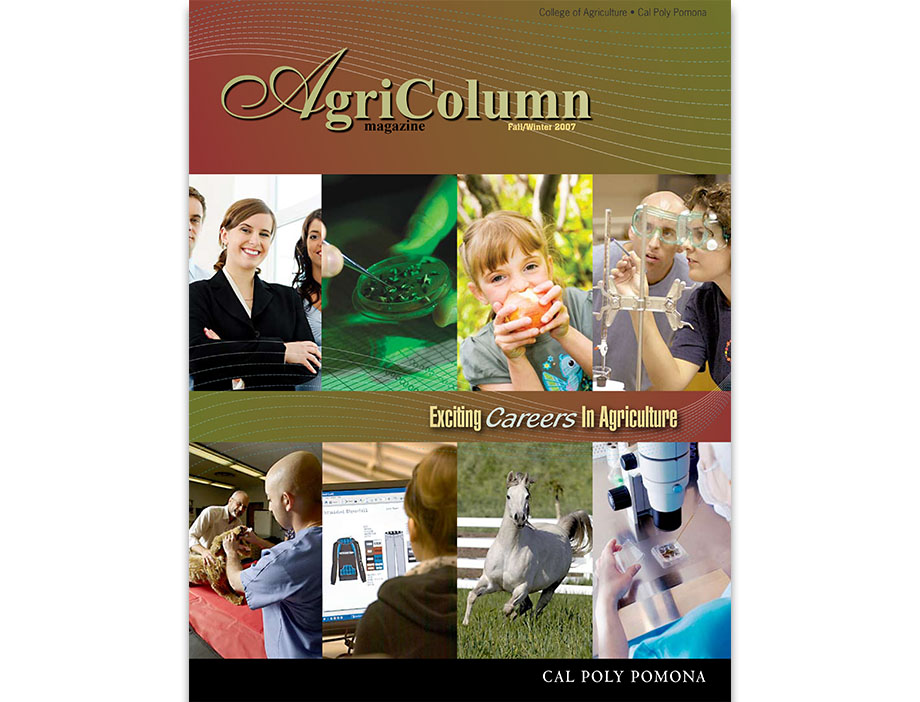 Photos of research, digital apparel design, a horse, and two men with a dog.