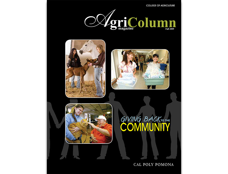 Students engaged in community service