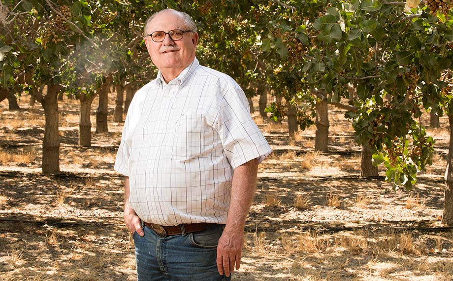Don Huntley standing among pistachio trees on his farm.