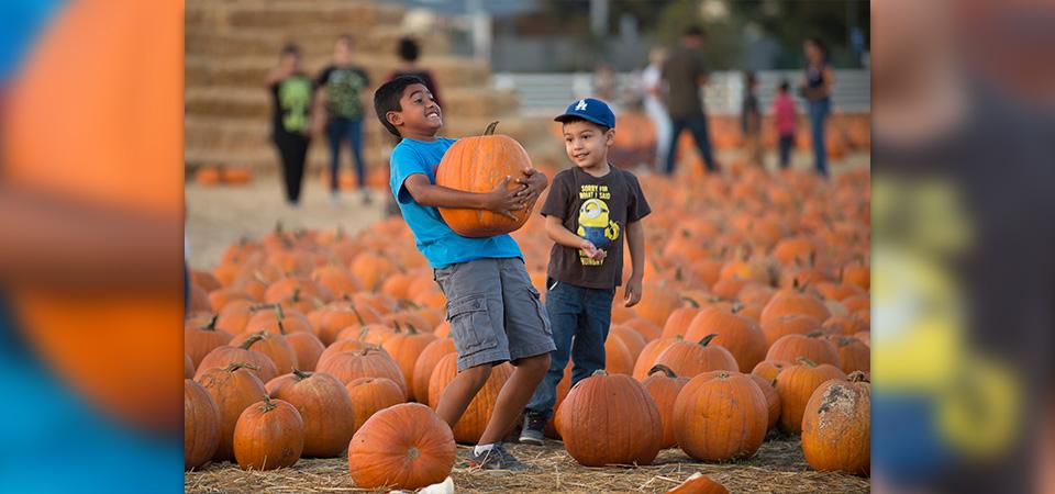 A boy grimaces as he lifts a pumpkin while his friend looks on.