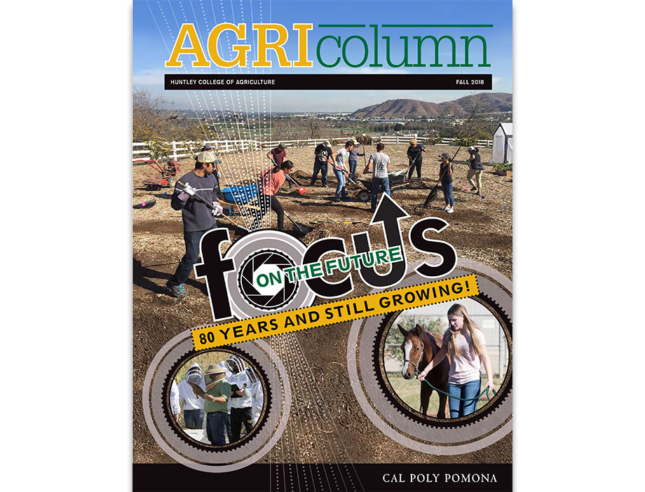 Photos of beekeeping, a student and horse, and students tending a garden.