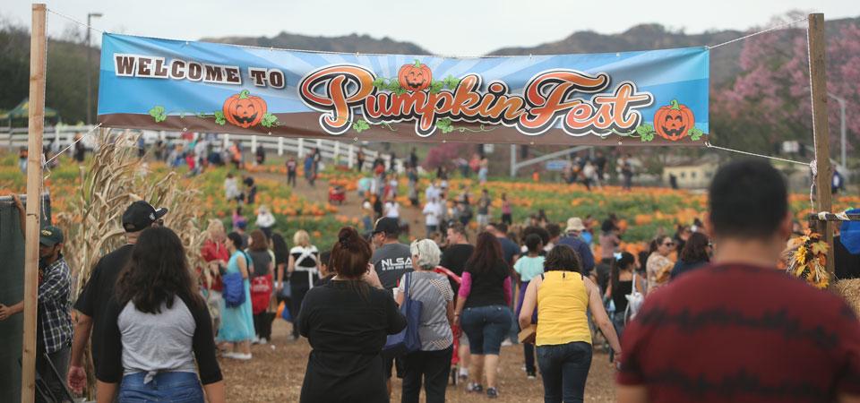 A perspective shot showing people entering under the Pumpkin Festival banner.