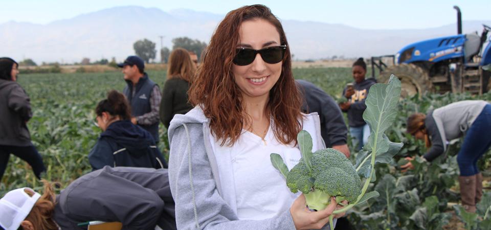 A student displays broccoli freshly picked from a field