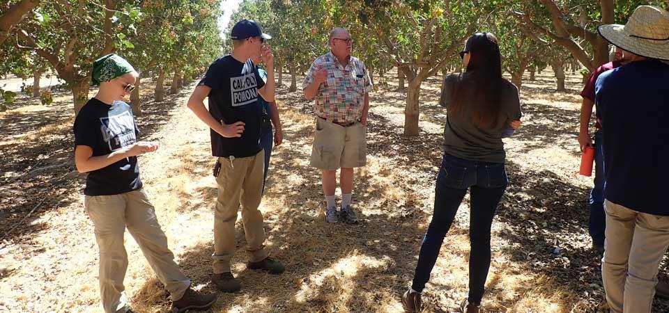 Don Huntley speaks to students amid the pistachio trees on his farm.
