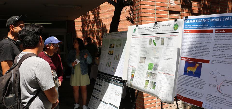Students look at research project poster presentations outside Building 2.