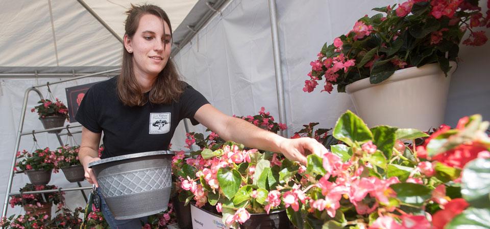 A female student prepares a display for the AGRIscapes Plant Sale