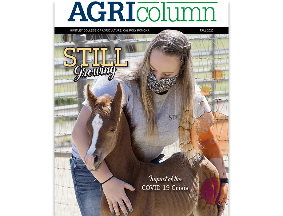 A female student with a young horse