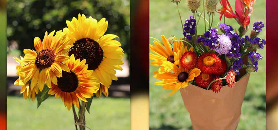 Sunflower and wildflower bouqets