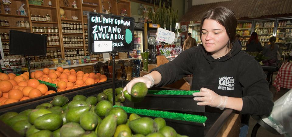 A Farm Store employee stocks avocados