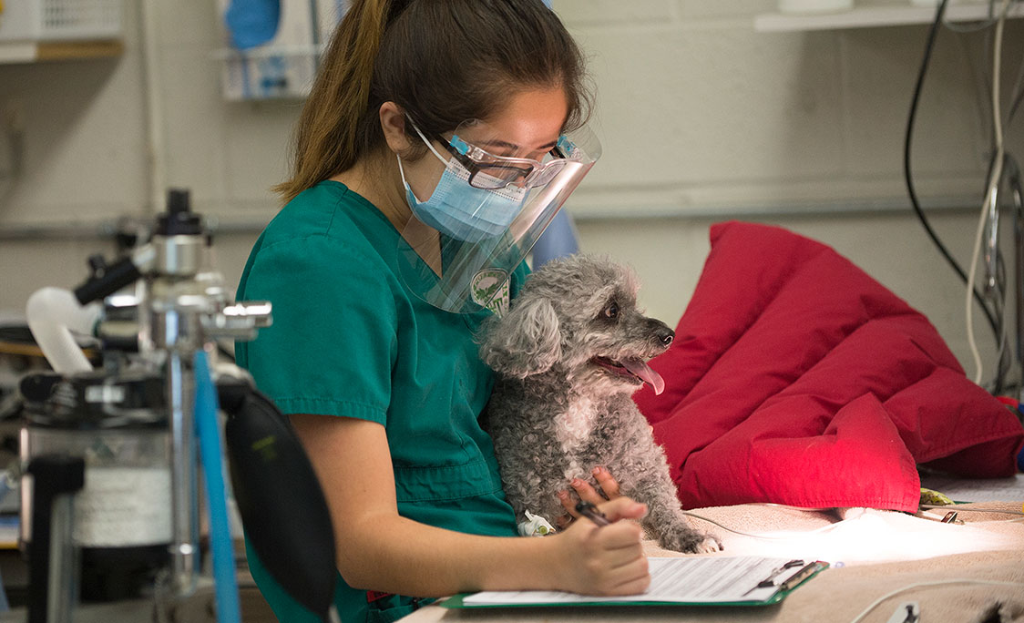 A woman in scrubs holds a dog while scribbling notes. 