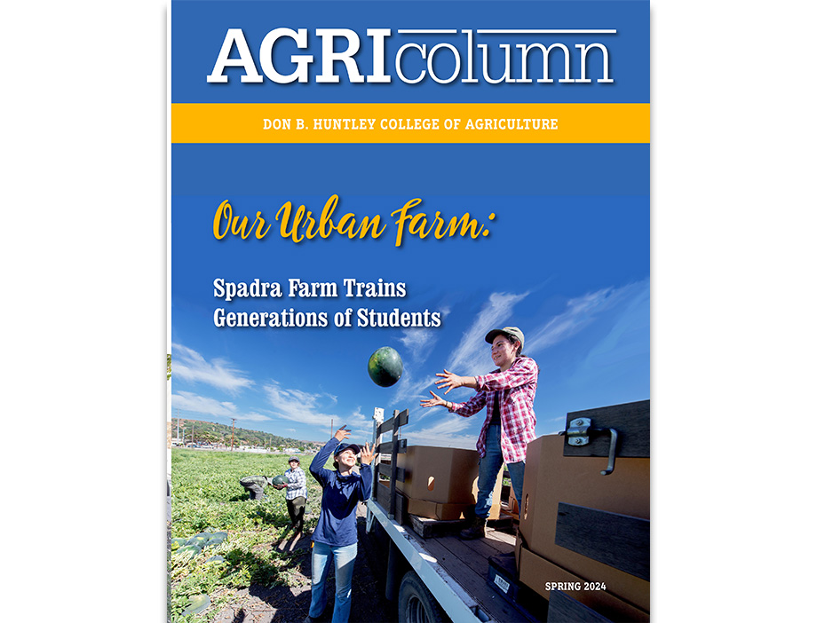 A student tosses a watermelon to another student ing in a truck.