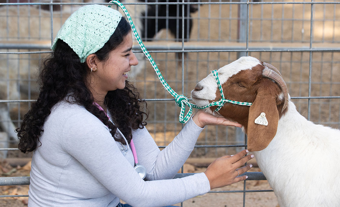 A woman kneels and pets a goat.